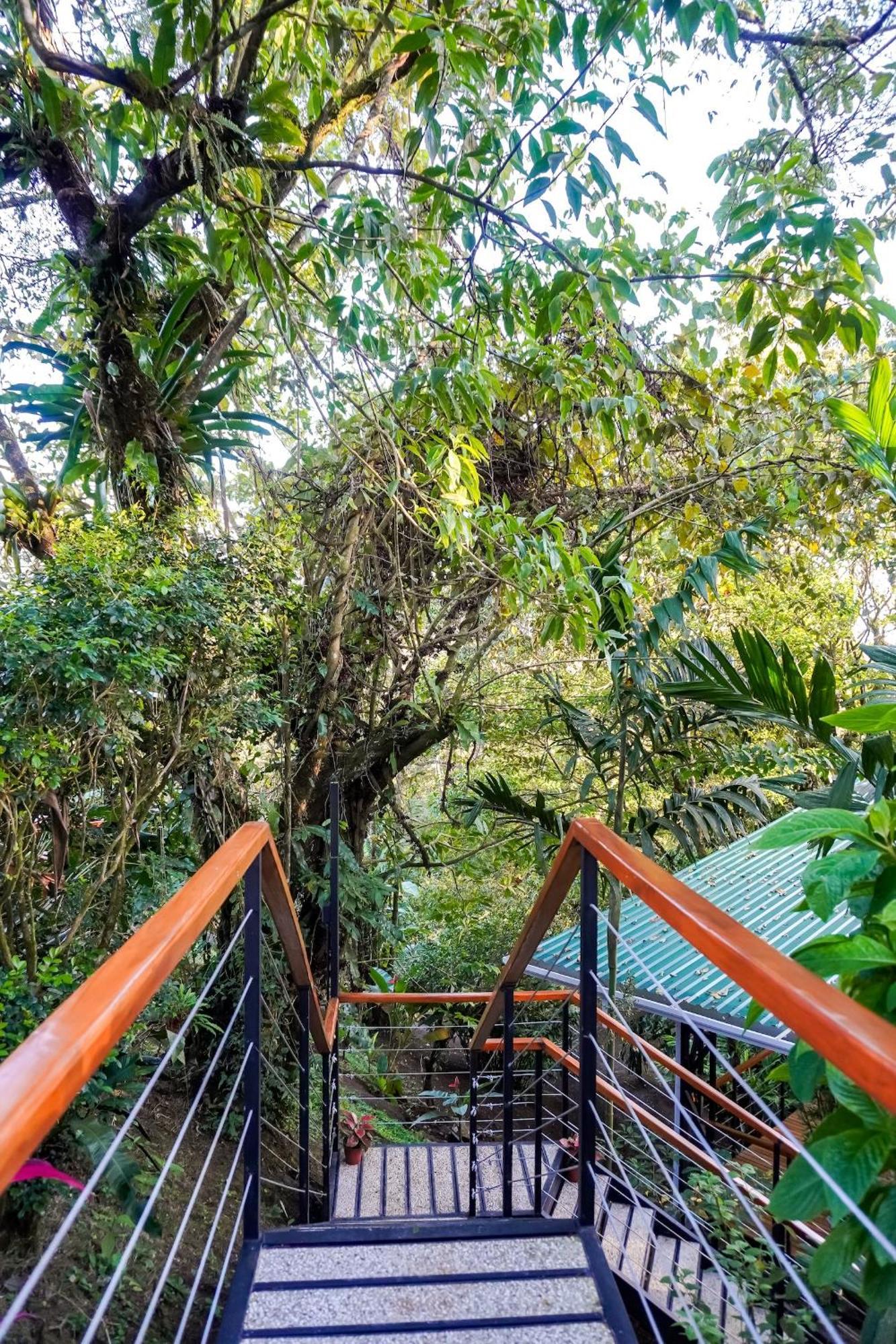 Sueno Rio Celeste Boutique B&B Bijagua Kültér fotó