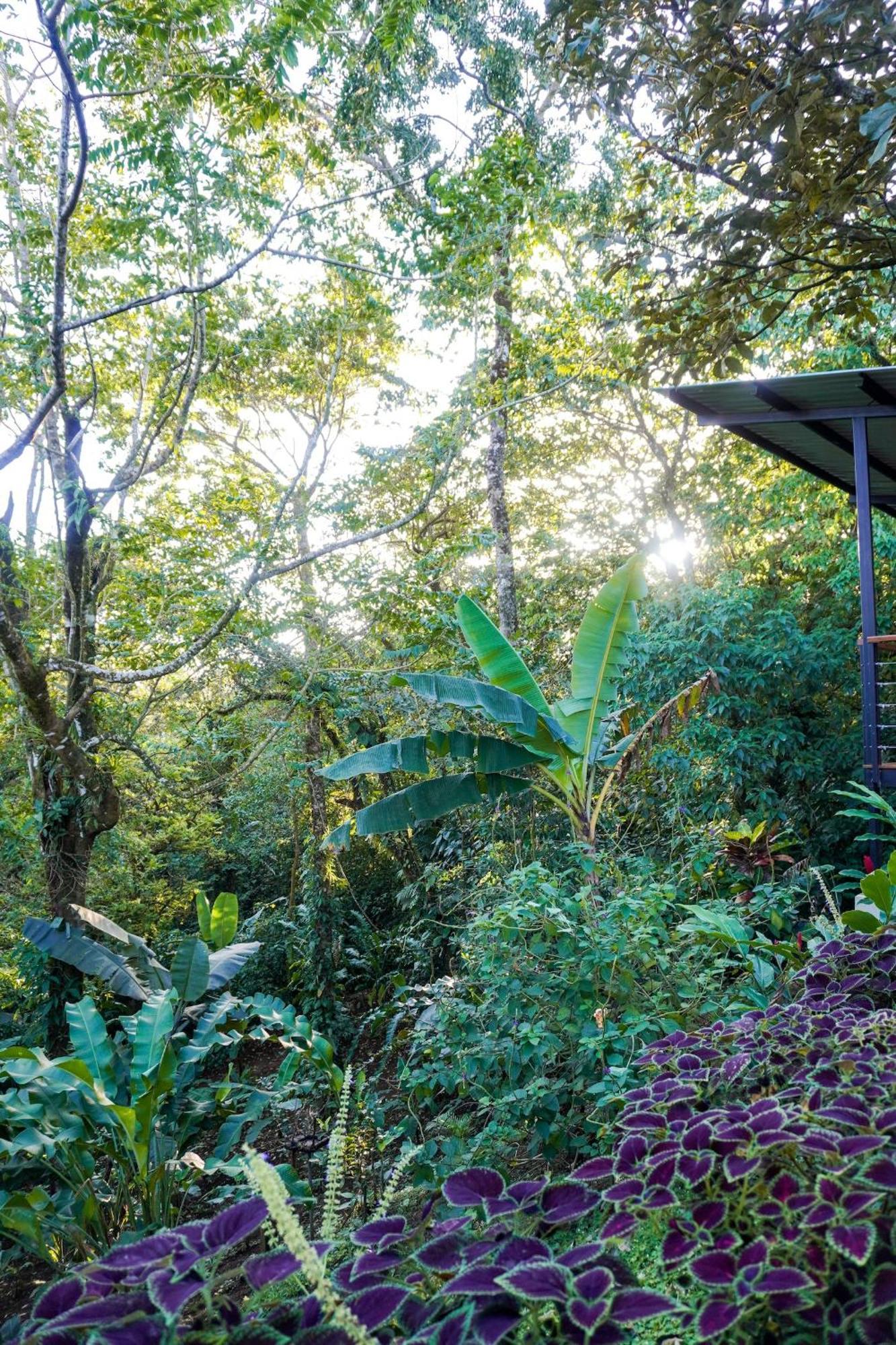 Sueno Rio Celeste Boutique B&B Bijagua Kültér fotó